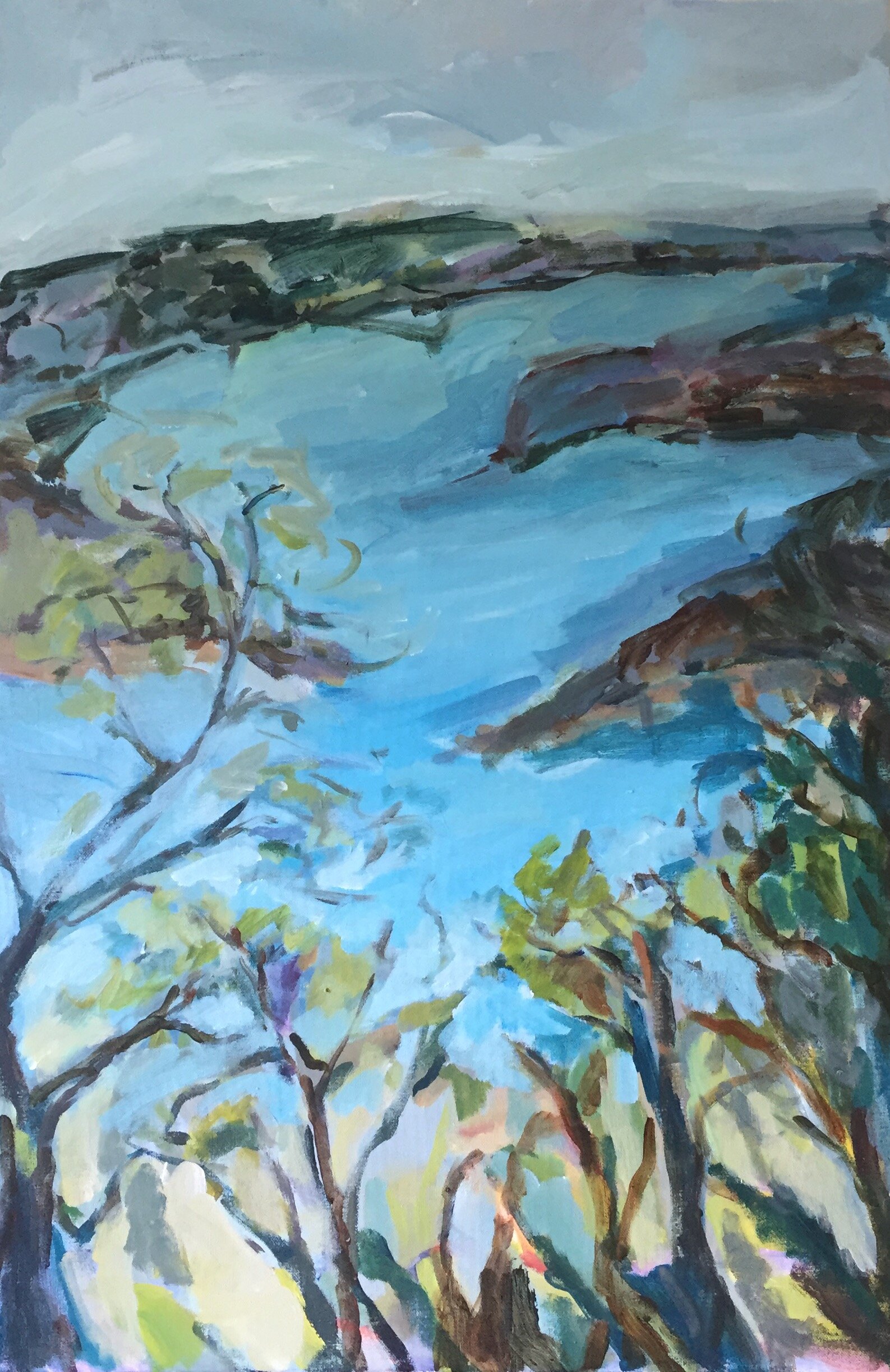View to Lion Island lll
