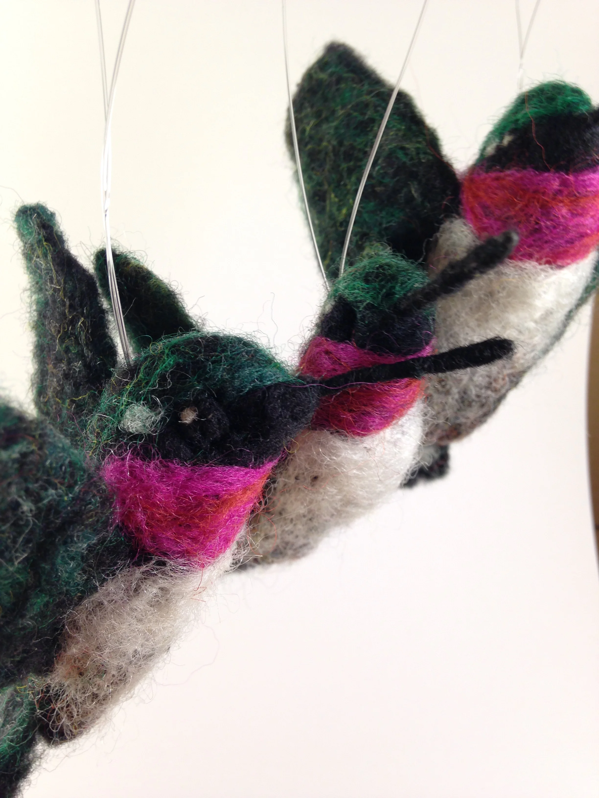 The Hummingbird Sisters