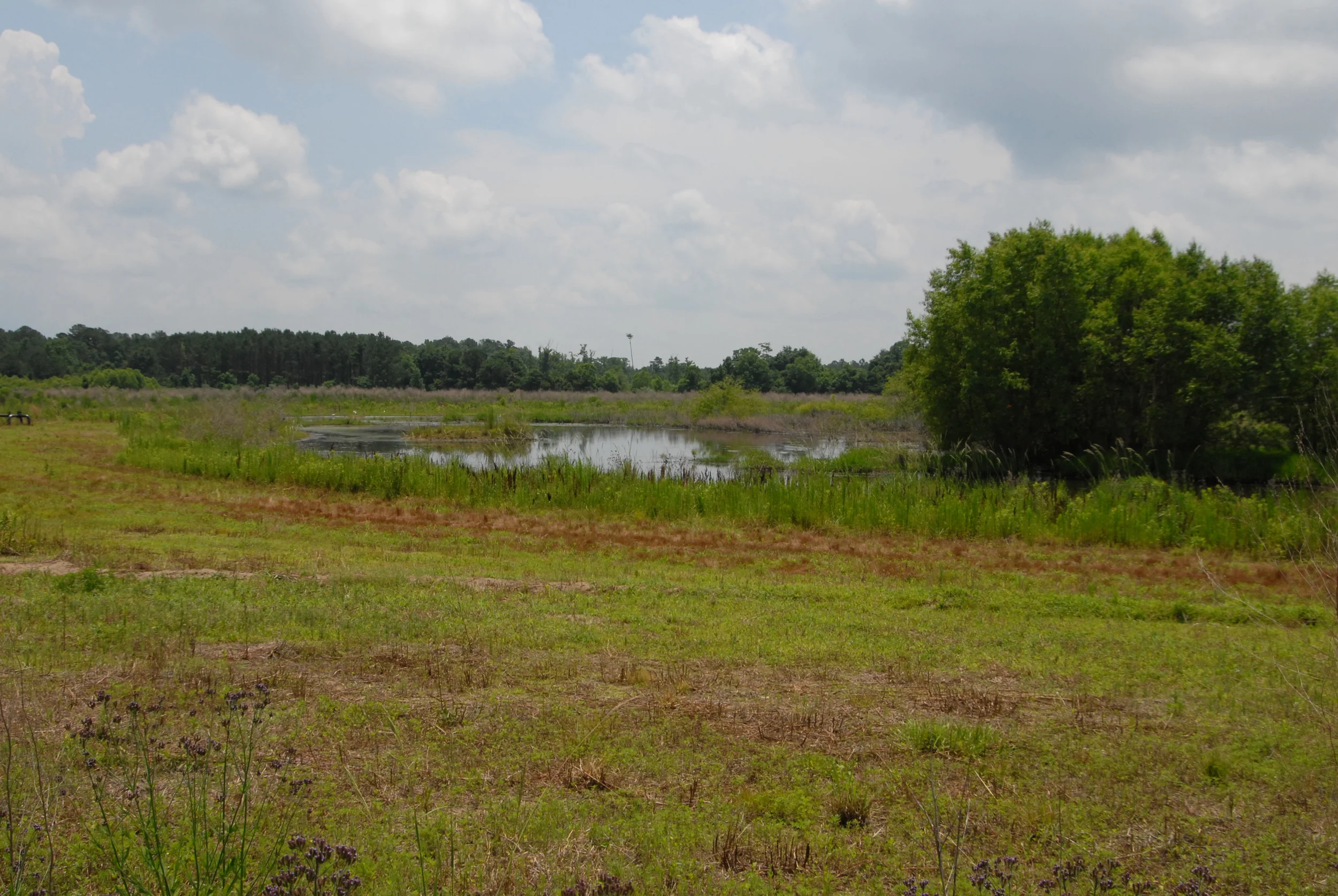 Wetlands in Agriculture - Swampbuster