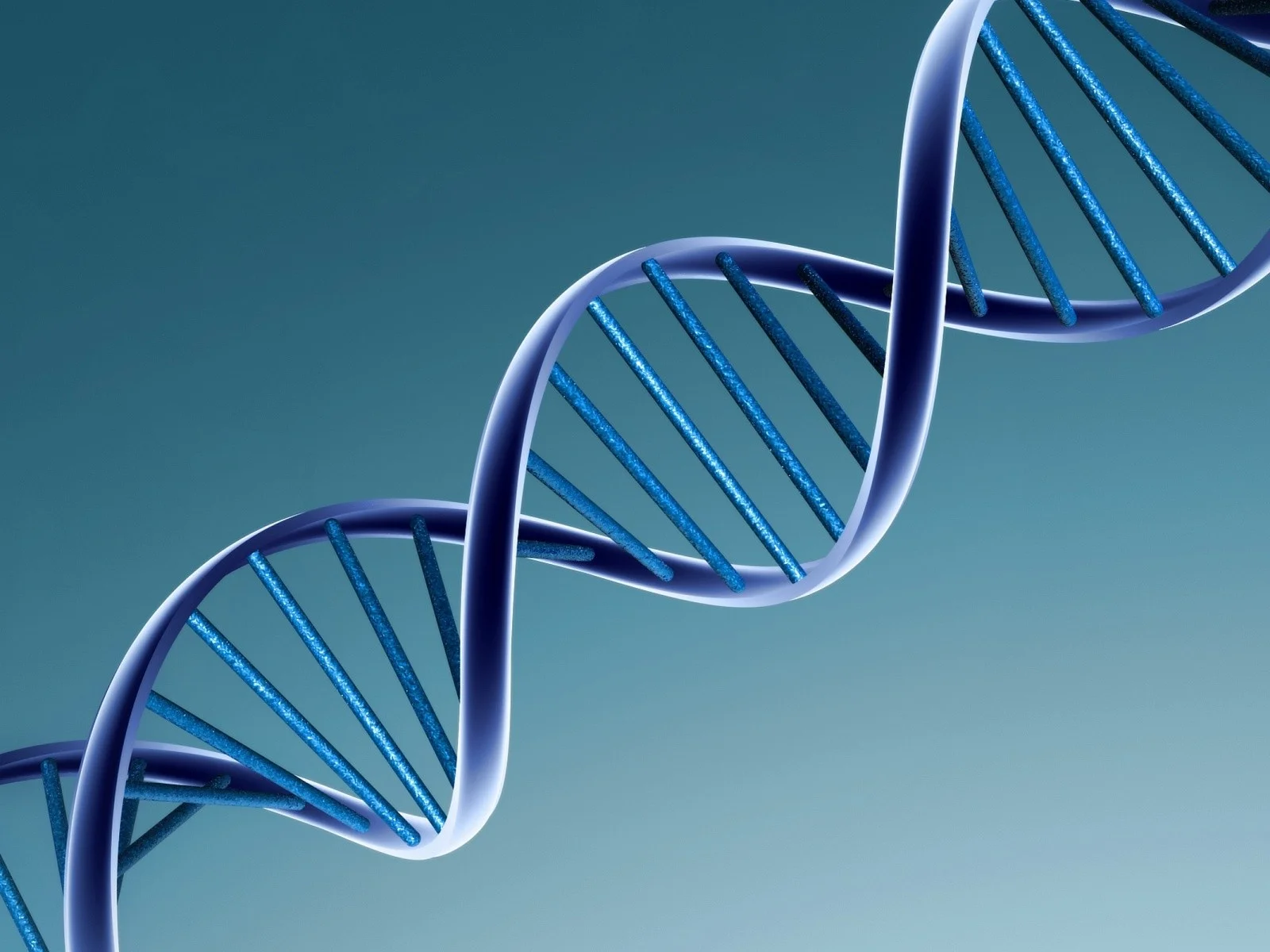 Animal Gene Editing: the Science of Gene Editing for a Non-Scientist