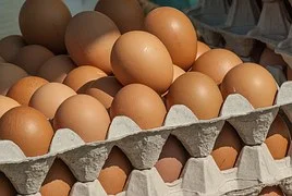 Cage Free Eggs: a Market-Driven Phenomenon 