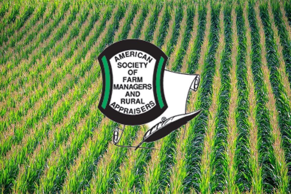 Big Data Considerations for Rural Property Professionals