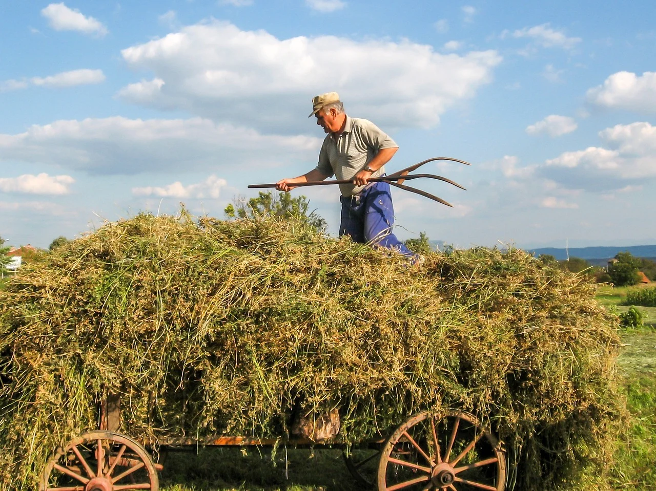 New Federal Overtime Rules in Agriculture