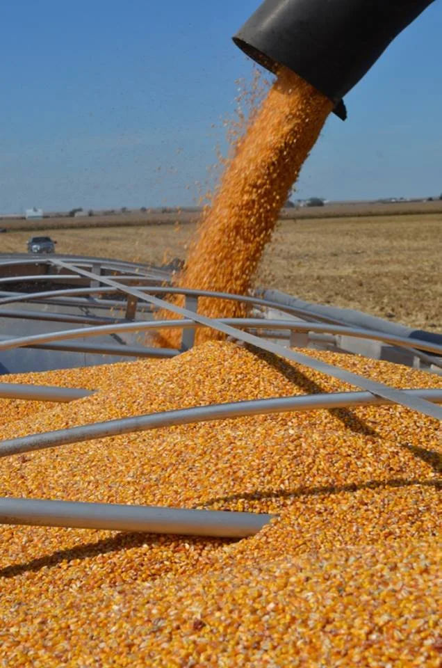 Drafting Crop Production Contracts