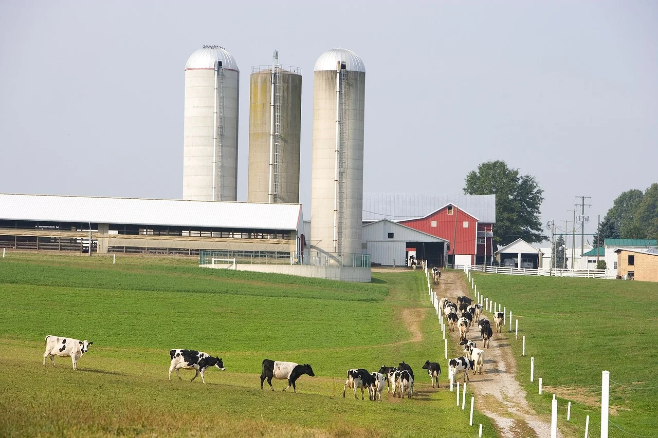 dairy-farm-927579_1280.jpg