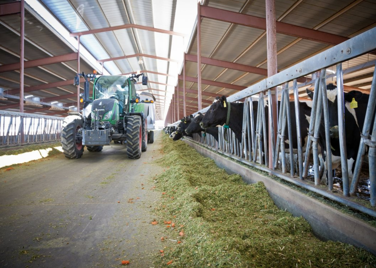 D.C. Circuit Court Requires Livestock Farms to Report Air Emissions