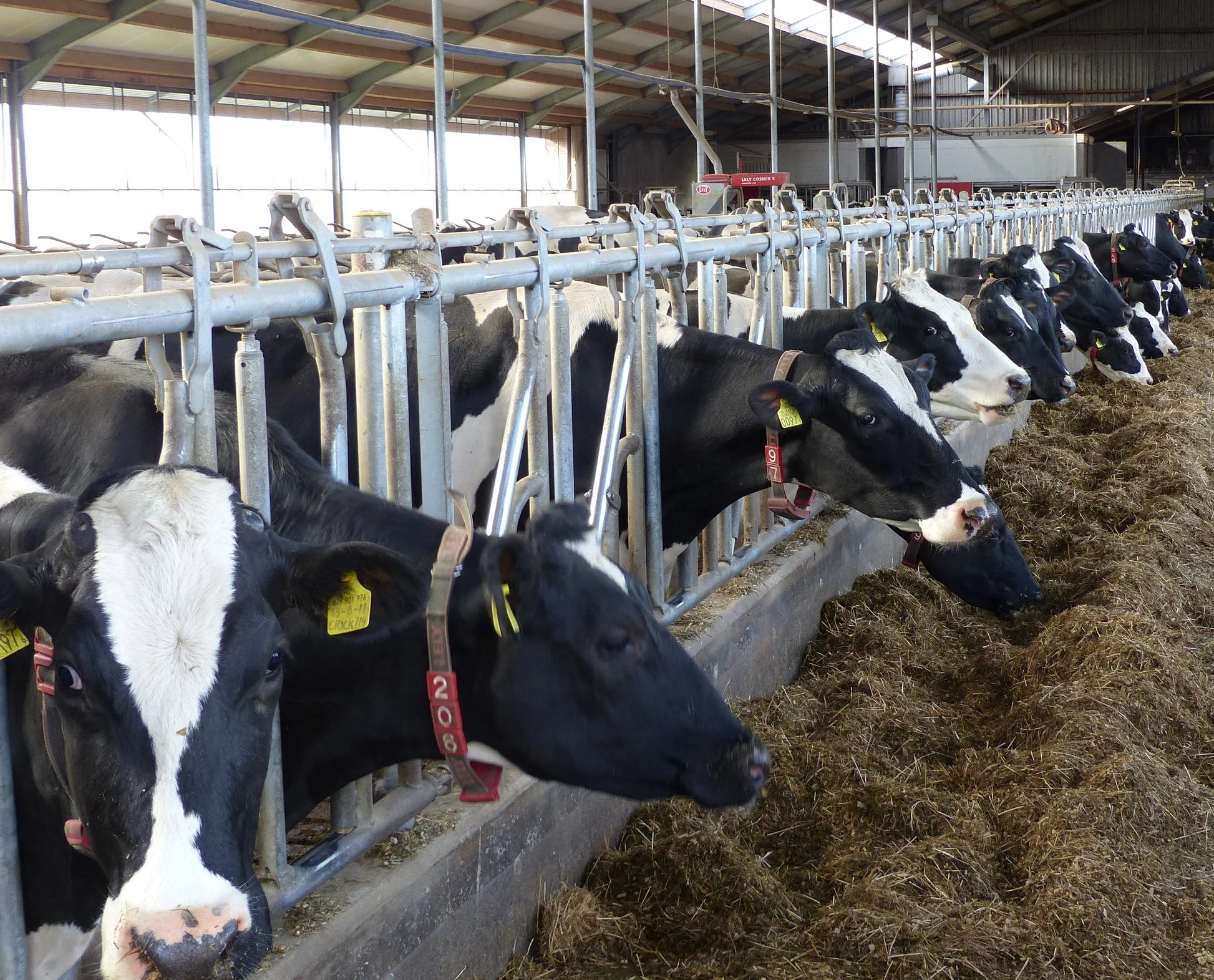 Progressive Dairyman: Who Owns Your Ag Data?