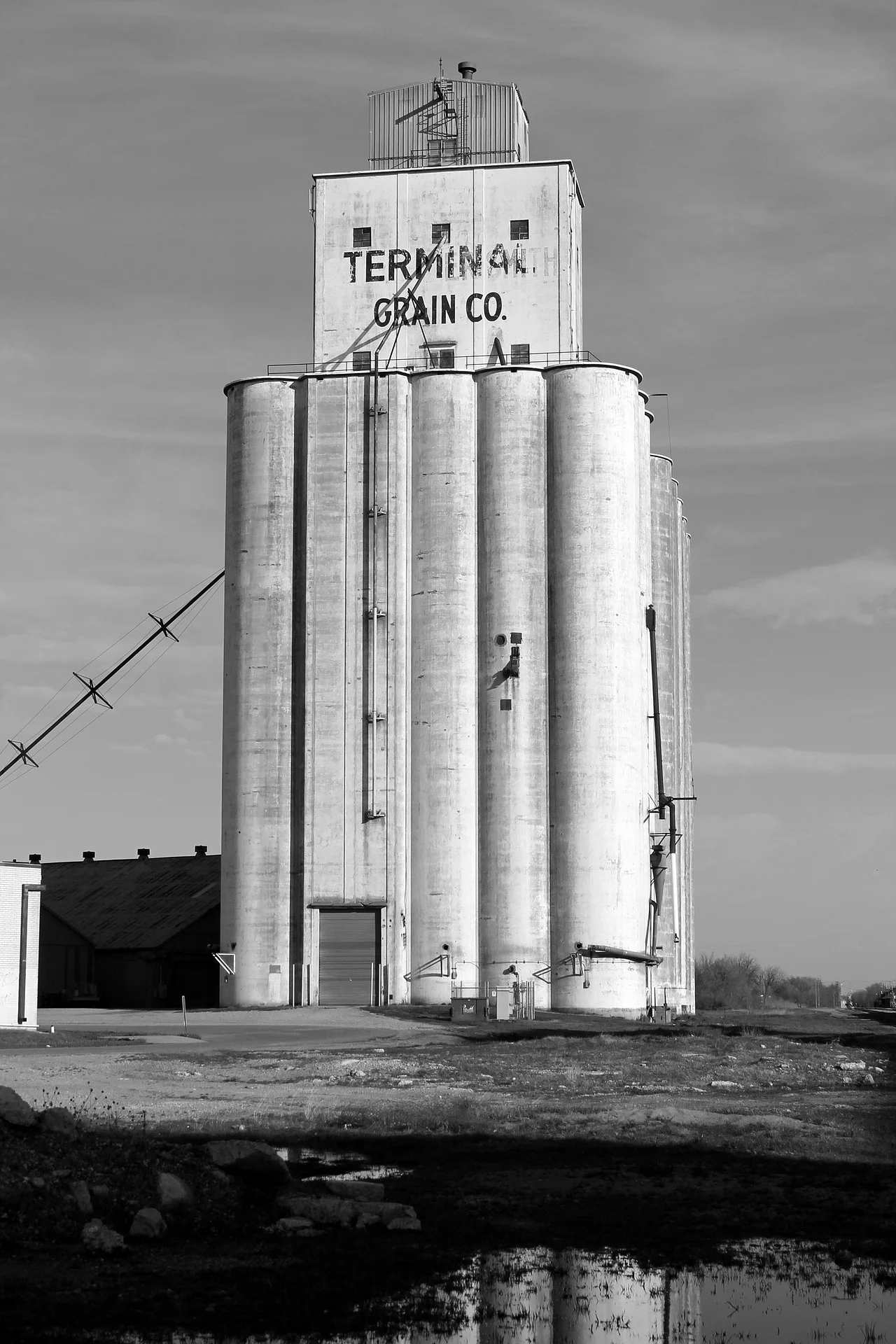 el-reno-101245_1920.jpg