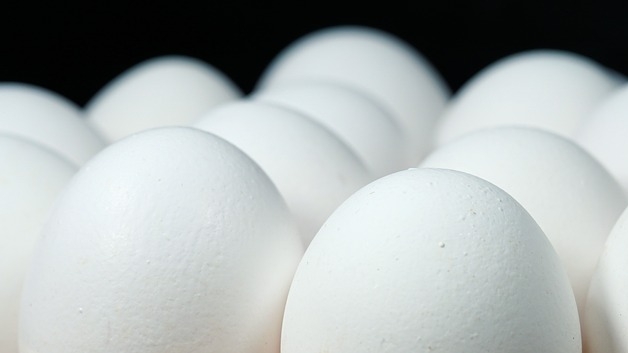 eggs2.jpg