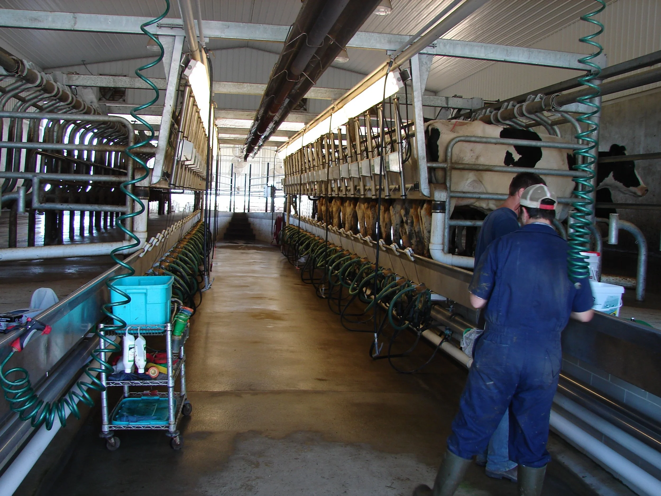 The New Deal: Understanding Milk Supply Contracts: National Ag Law Center