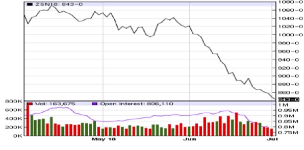 Law Clerk Blog Post: Soy Market Plummets with Continued Battle of Trade Tariffs
