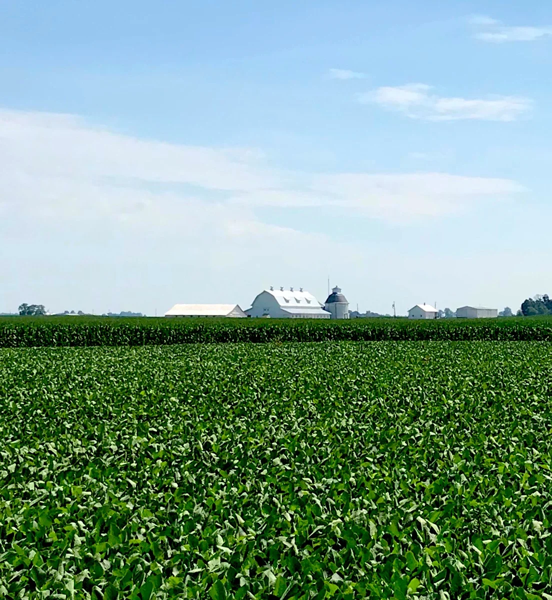 USDA and Ag Data: Improving Productivity while Protecting Privacy