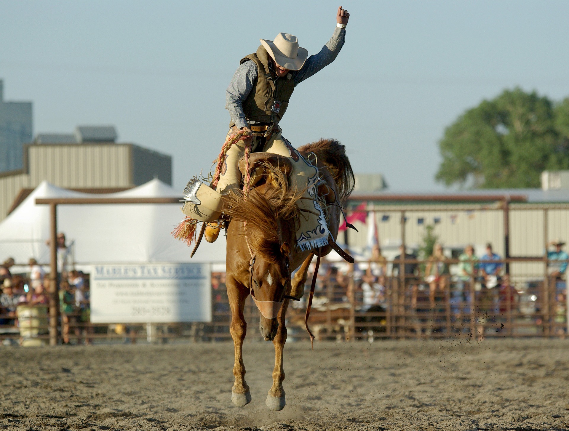Rodeo and Assumption of Risk