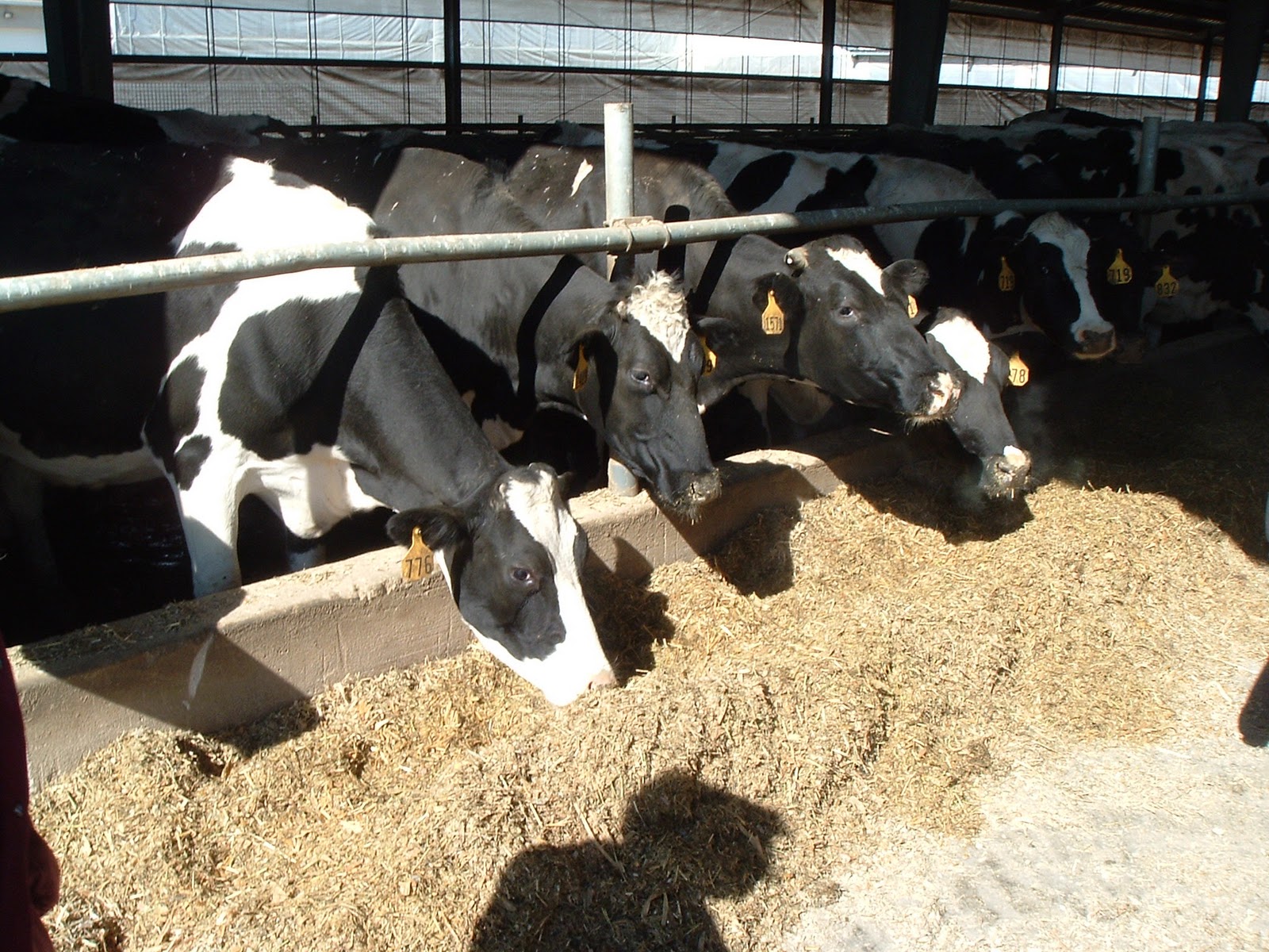 Refresher Course: Indiana Right to Farm Act