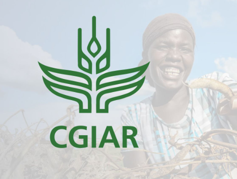 International Organization Releases Guidelines for Ag Data Research