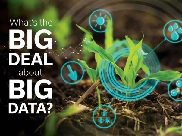 What's the Big Deal with Big Data?