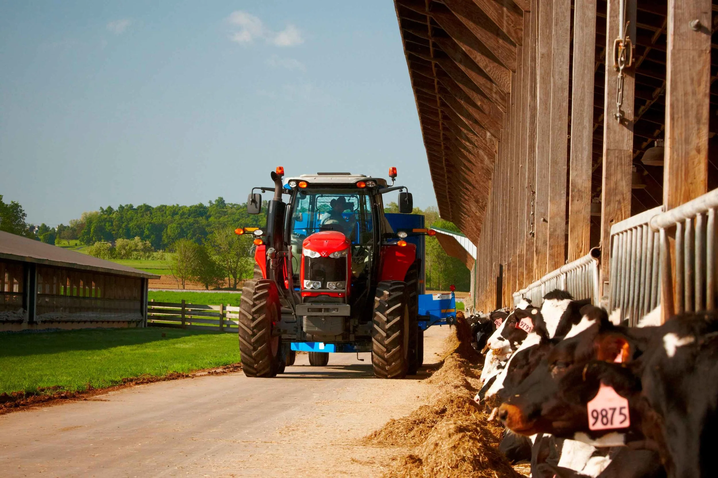 CAFO, CFO, Factory Farm, Corporate Farm or Family Farm? What is the correct term for a modern Indiana livestock facility?