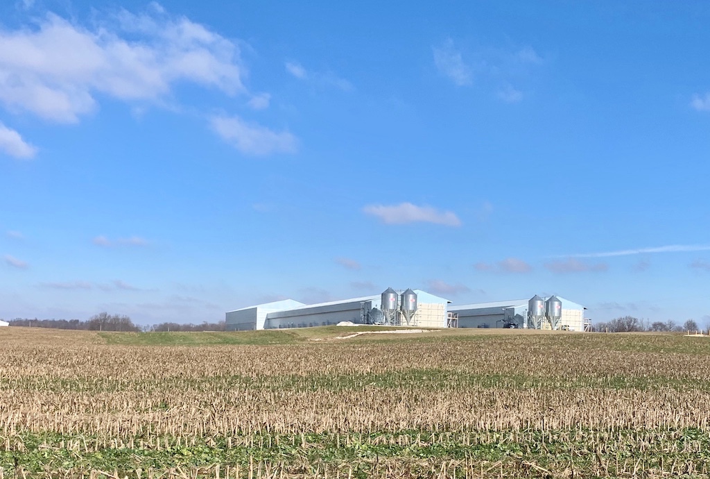Indiana Court of Appeals Upholds the Right to Farm Act