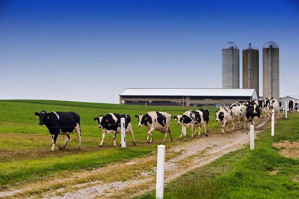 Consumers as the New Regulators: Todd Janzen at South Dakota Farm Bureau