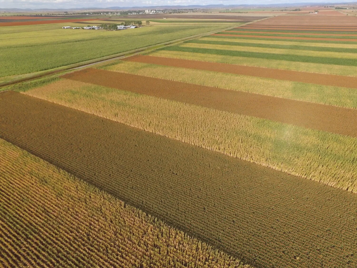 Ranking the 5 Levels of Ag Data Transparency