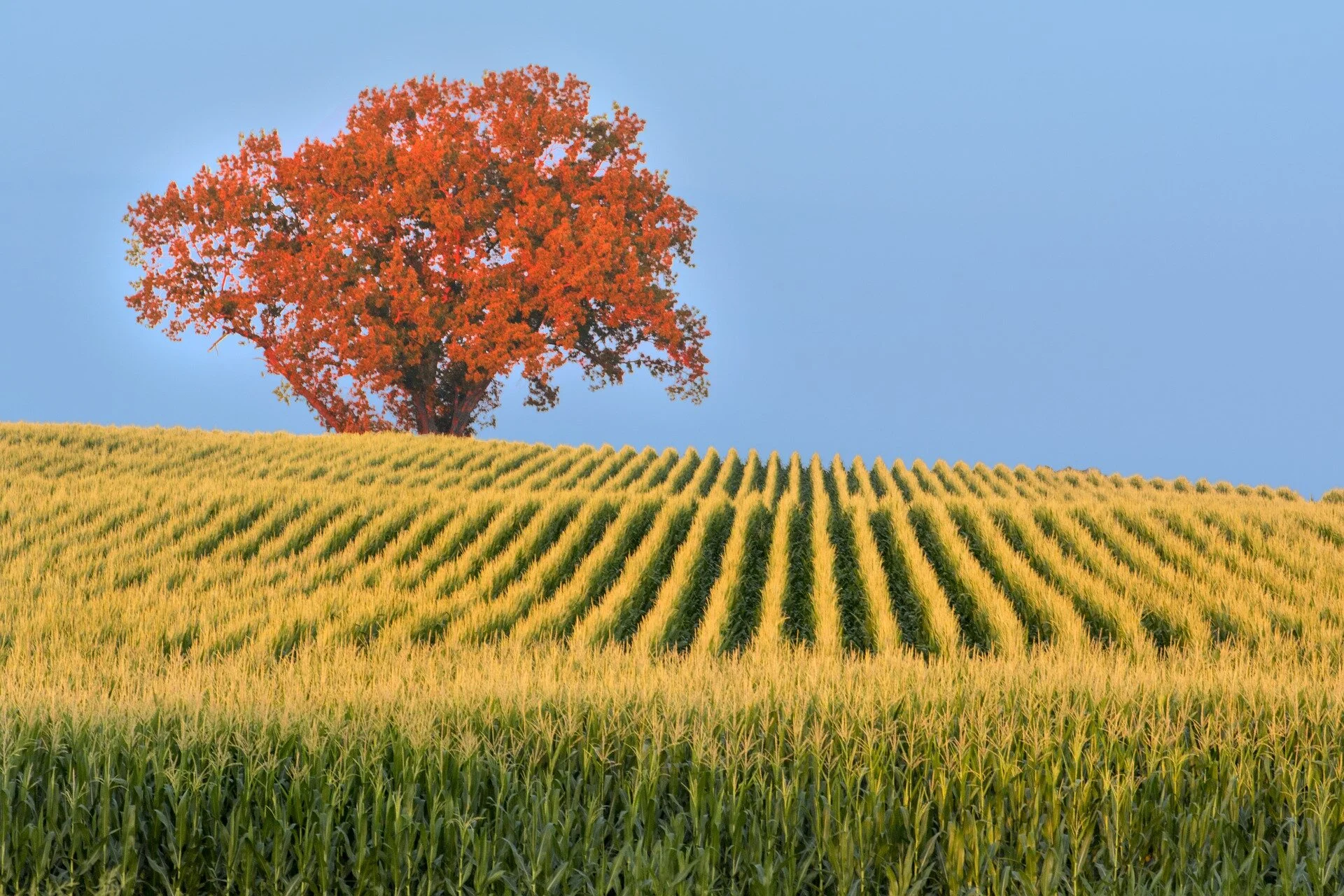 Ag Law Needs are Unique - Your Counsel Should Be, Too 