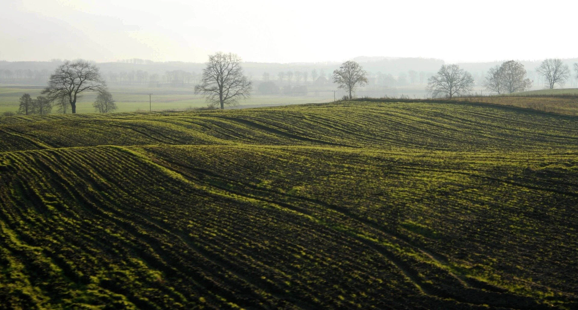 Data at Center of Carbon Evaluation Platforms - Janzen Column Shared on AgriView 