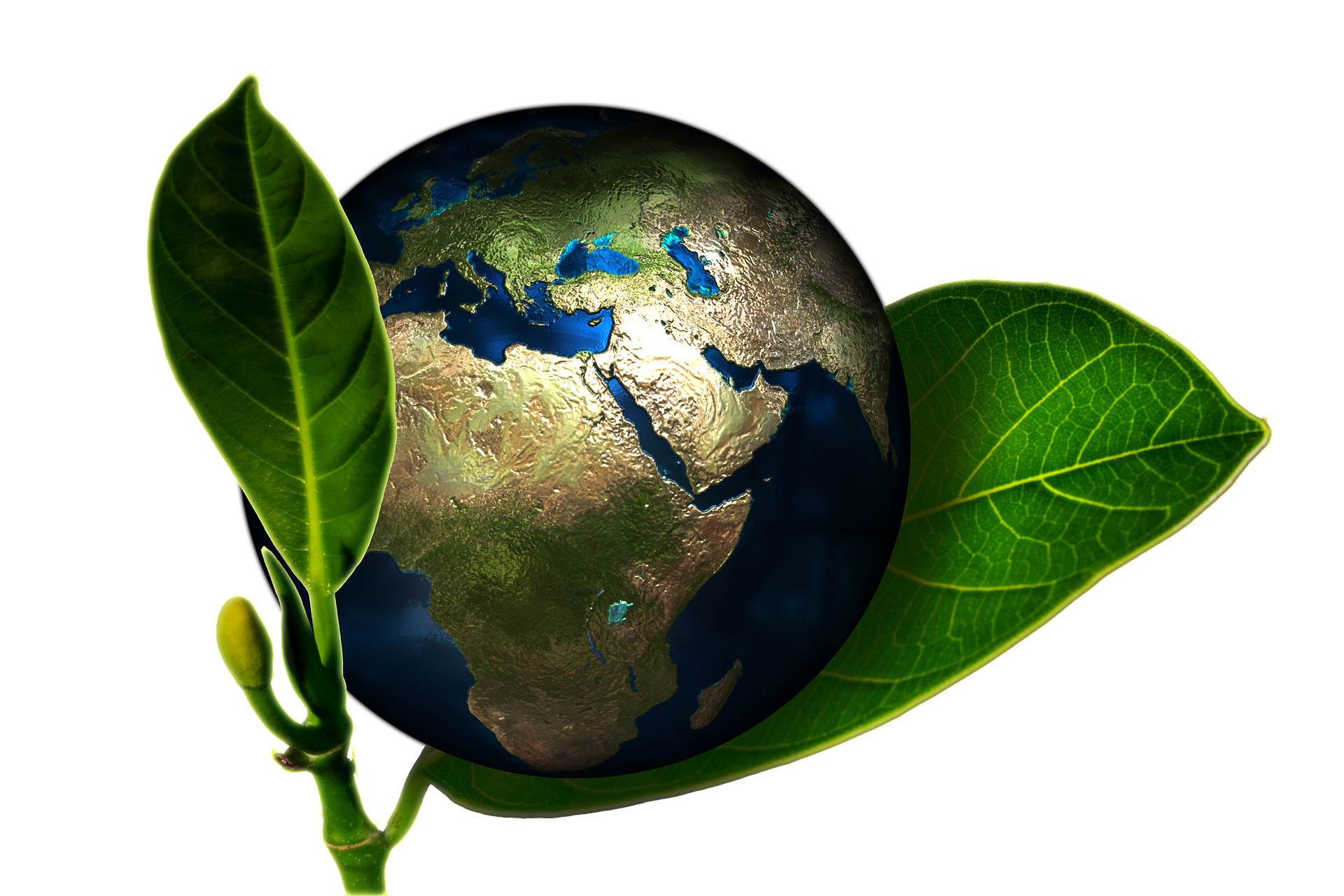 VDI Conference on Smart Farming (International Event) 