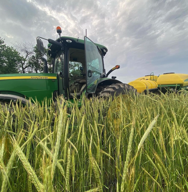 Rethinking Carbon's "Additionality" Requirement