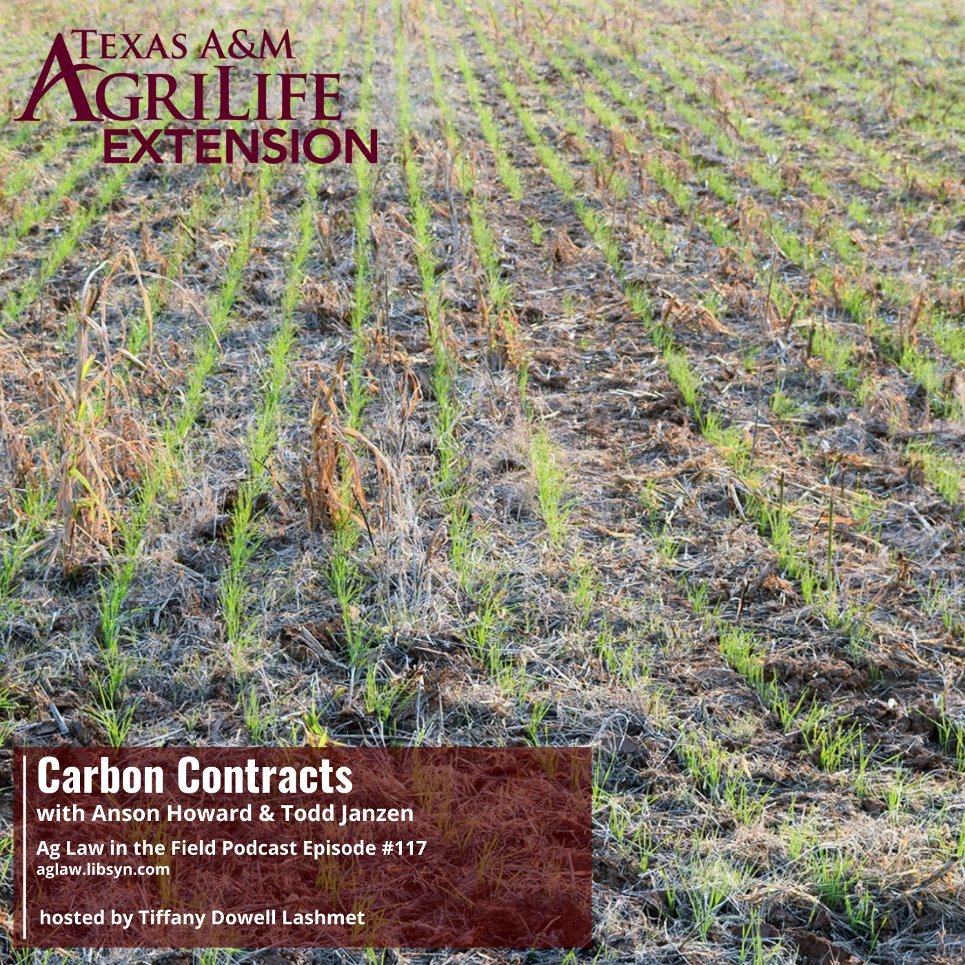 "Ag Law In the Field" Podcast Features Janzen Perspective on Carbon Contracts