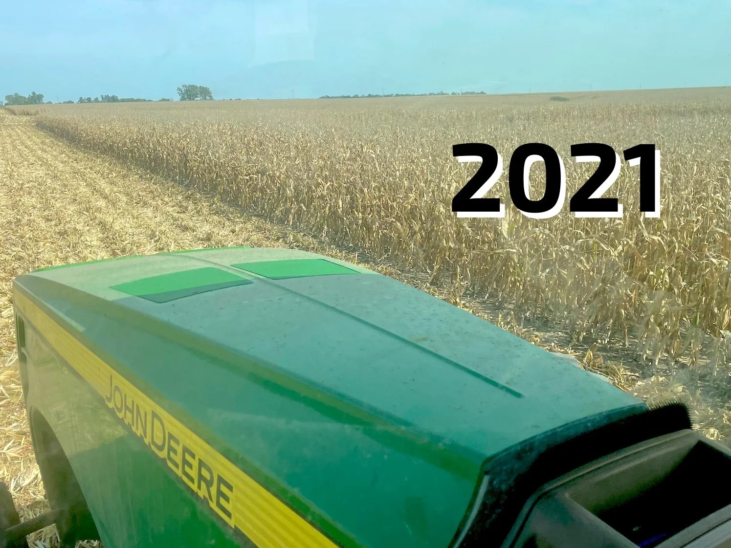 The Year in Reverse 2021