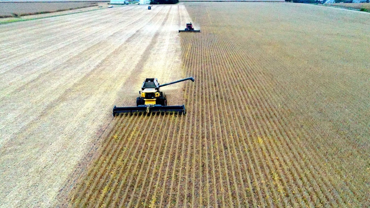 Five Ways ChatGPT Will Change Agriculture