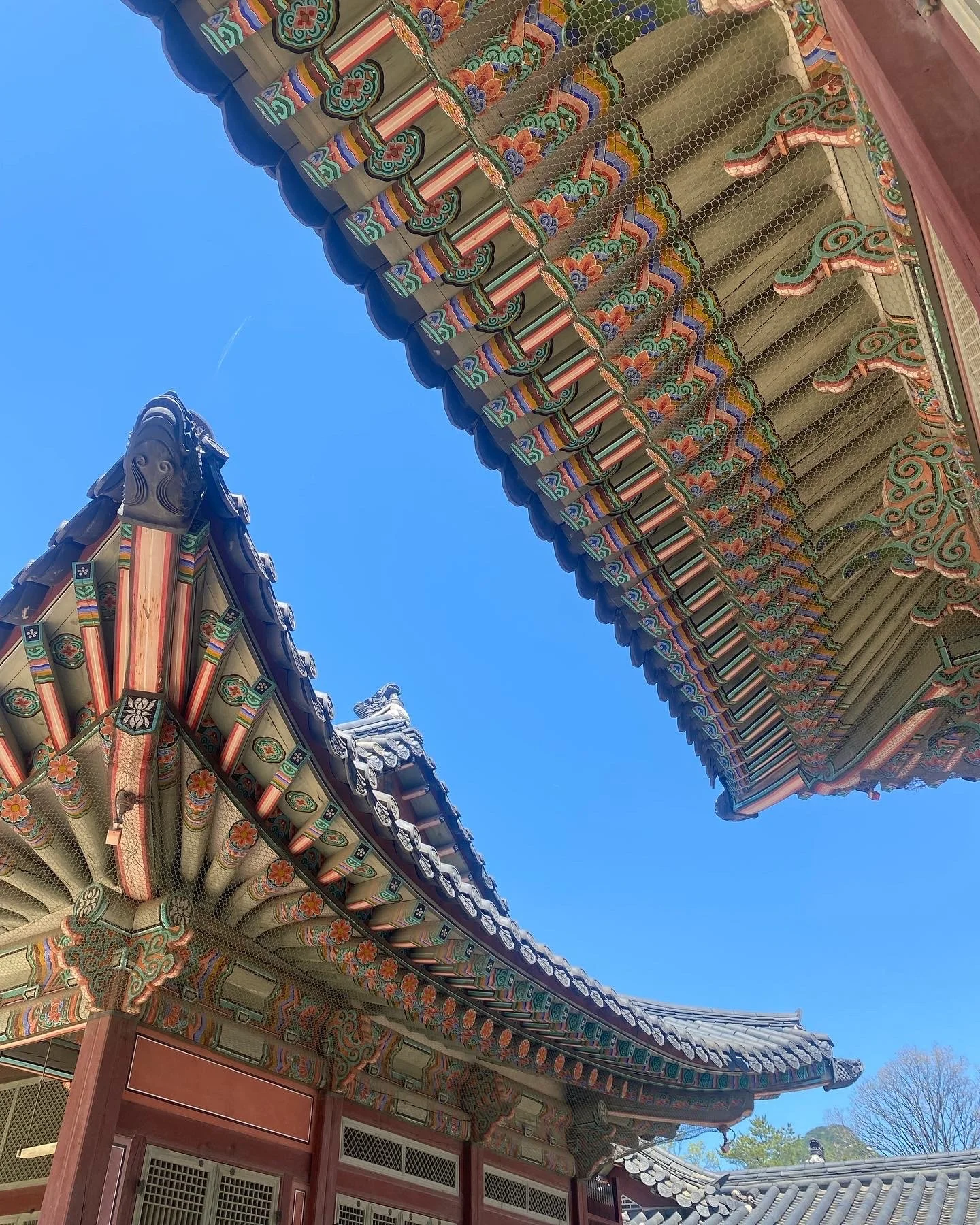 Indiana Agriculture in Korea