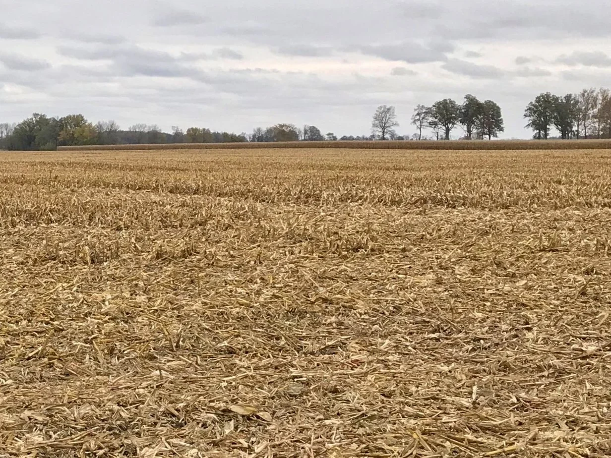 Five Questions to Ask Before Signing a Soil Carbon Contract