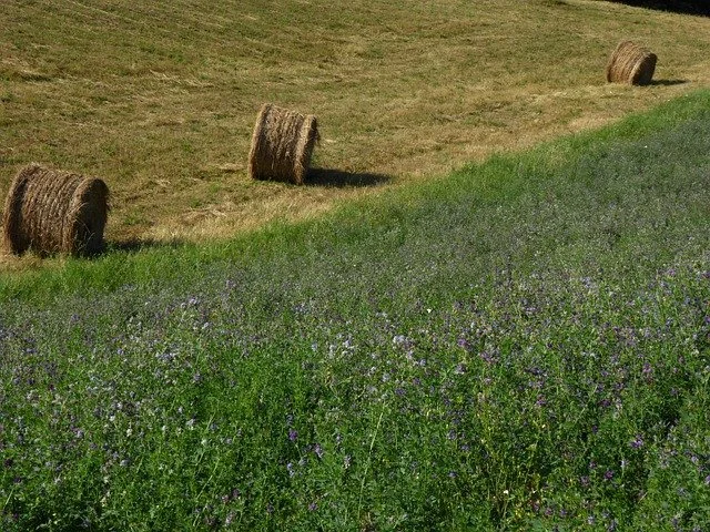 Should Rural Landowners be Worried about PFAS?