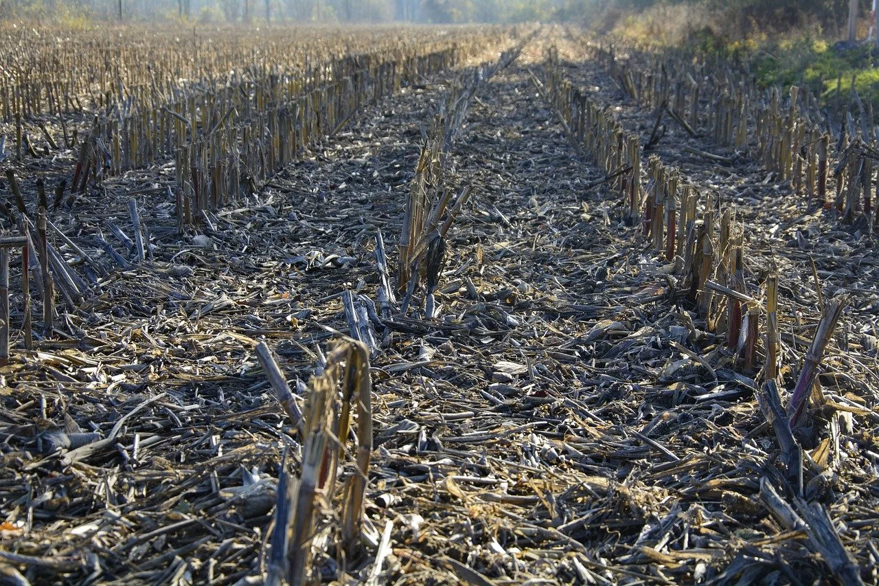 How USDA will use your Ag Data:  National No-Till Conference