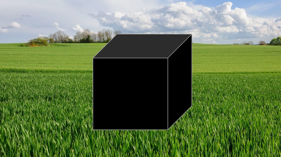 AI, the Black Box, and Transparency