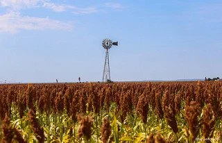 Who is a "Foreign Person" in the Eyes of USDA? 