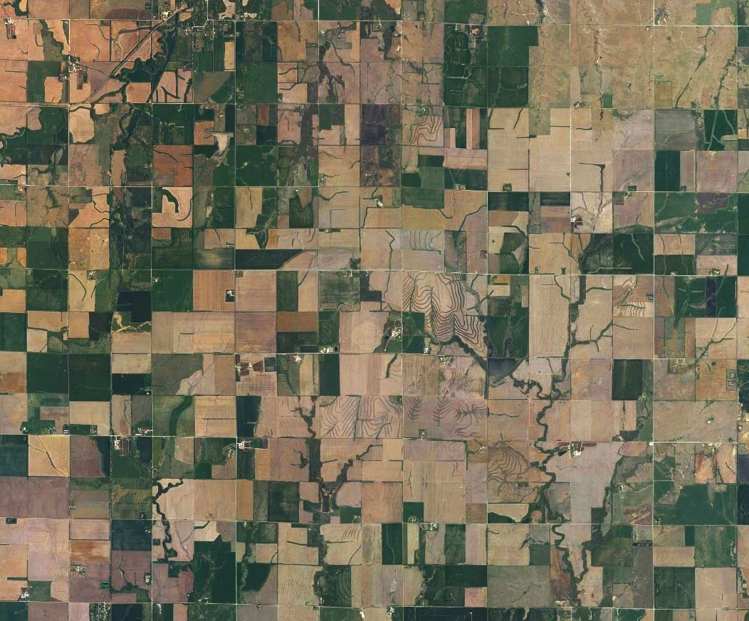 Revenue Management Software, AI, and Price Fixing Implications for Agriculture