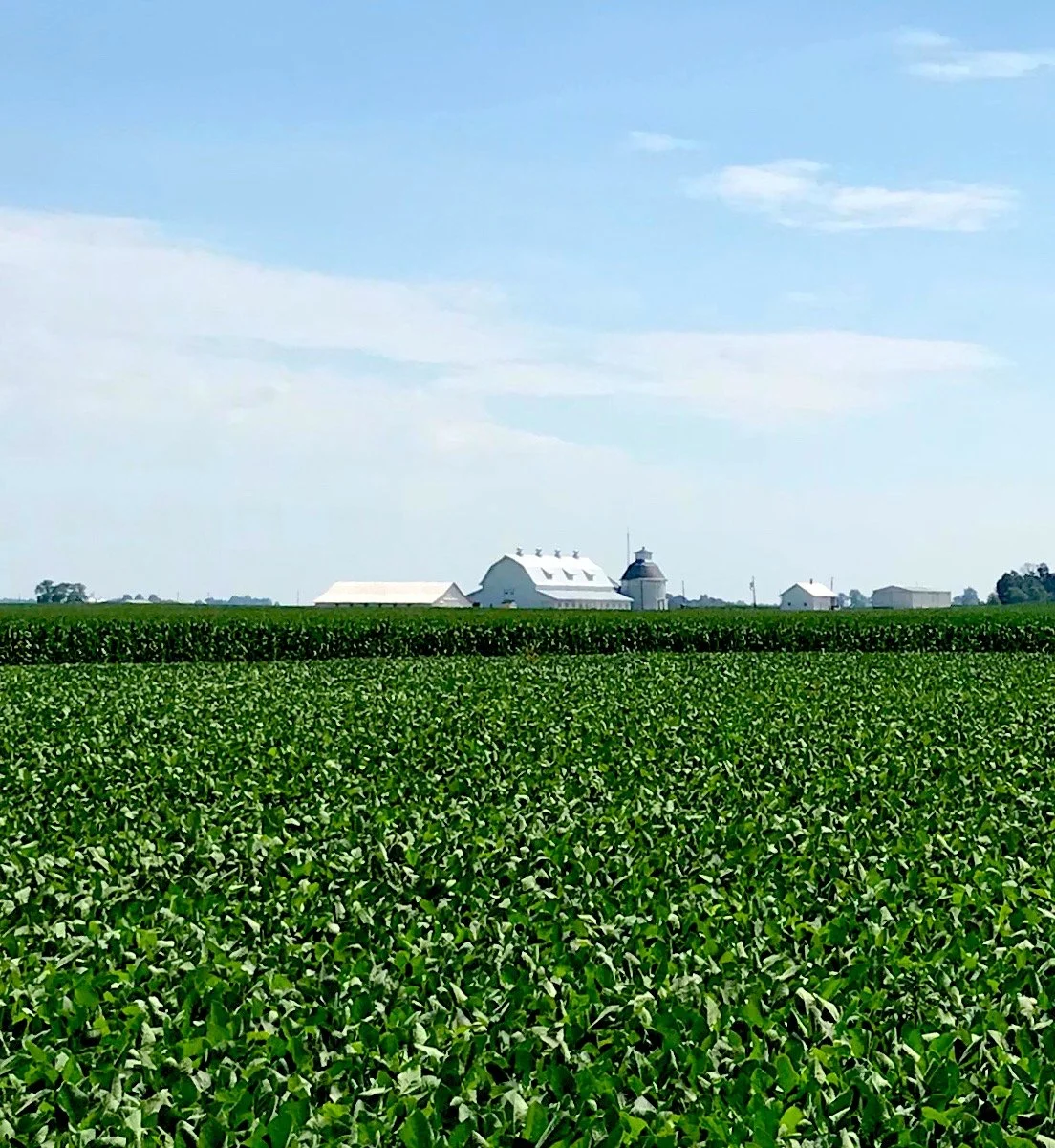 &nbsp;Should Your Farm Sign a Carbon Contract?