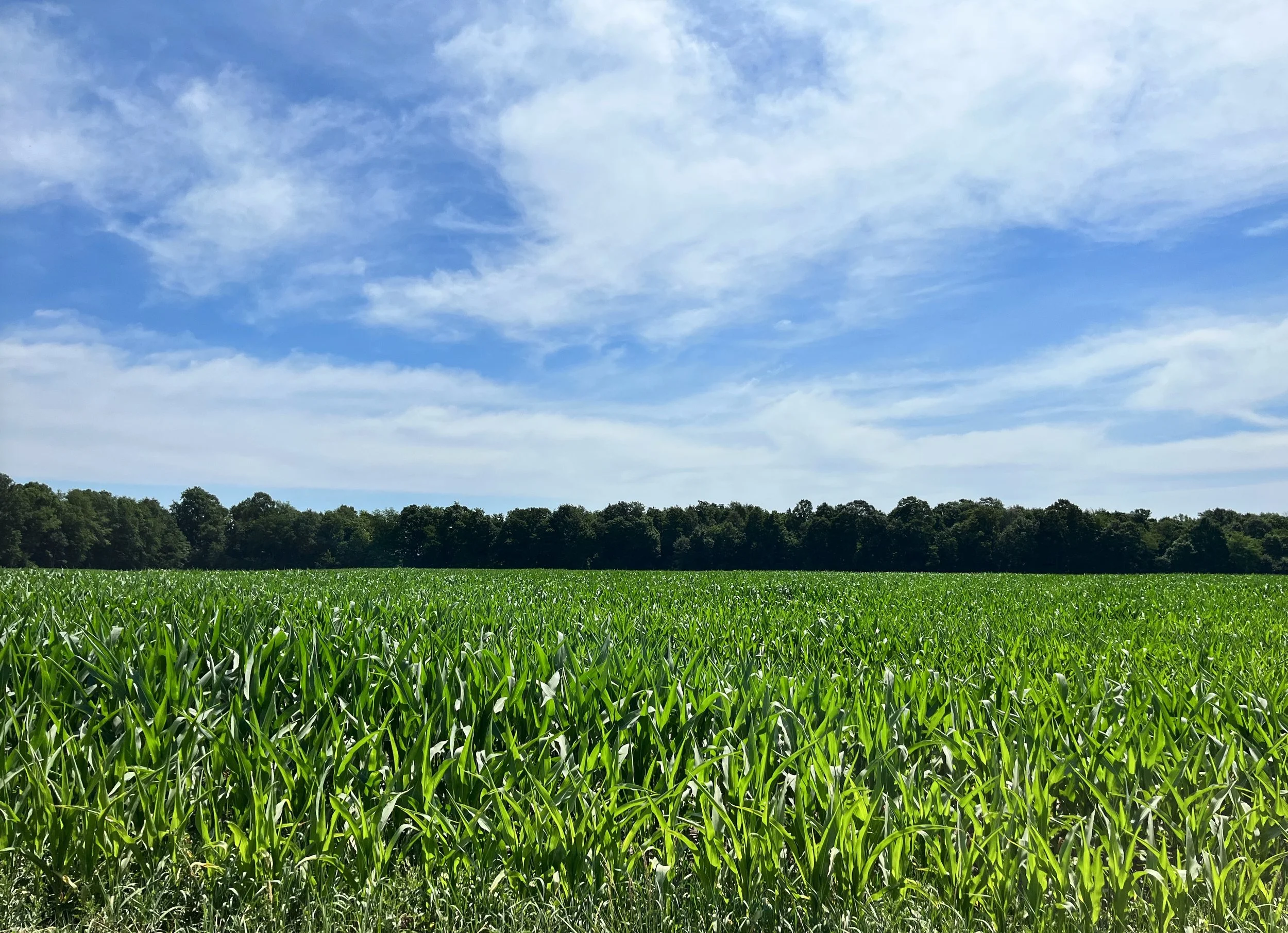 Can a Community Condemn Land to Build a Data Center?  