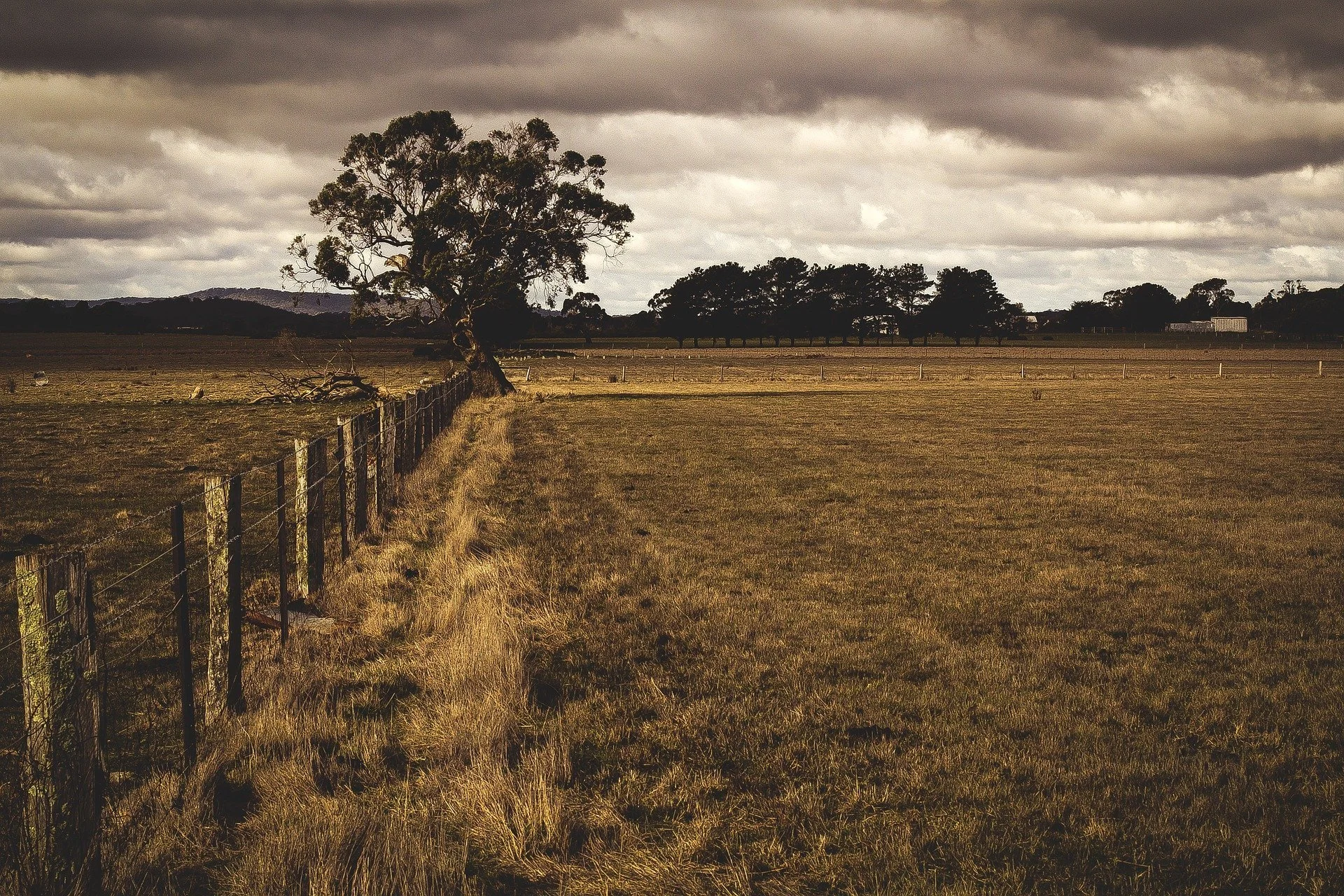 Land of Opportunity: A Conference for Farmland Owners (Terre Haute Site) 