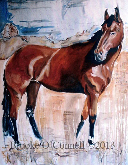 5BrookeO'Connell2013.jpg
