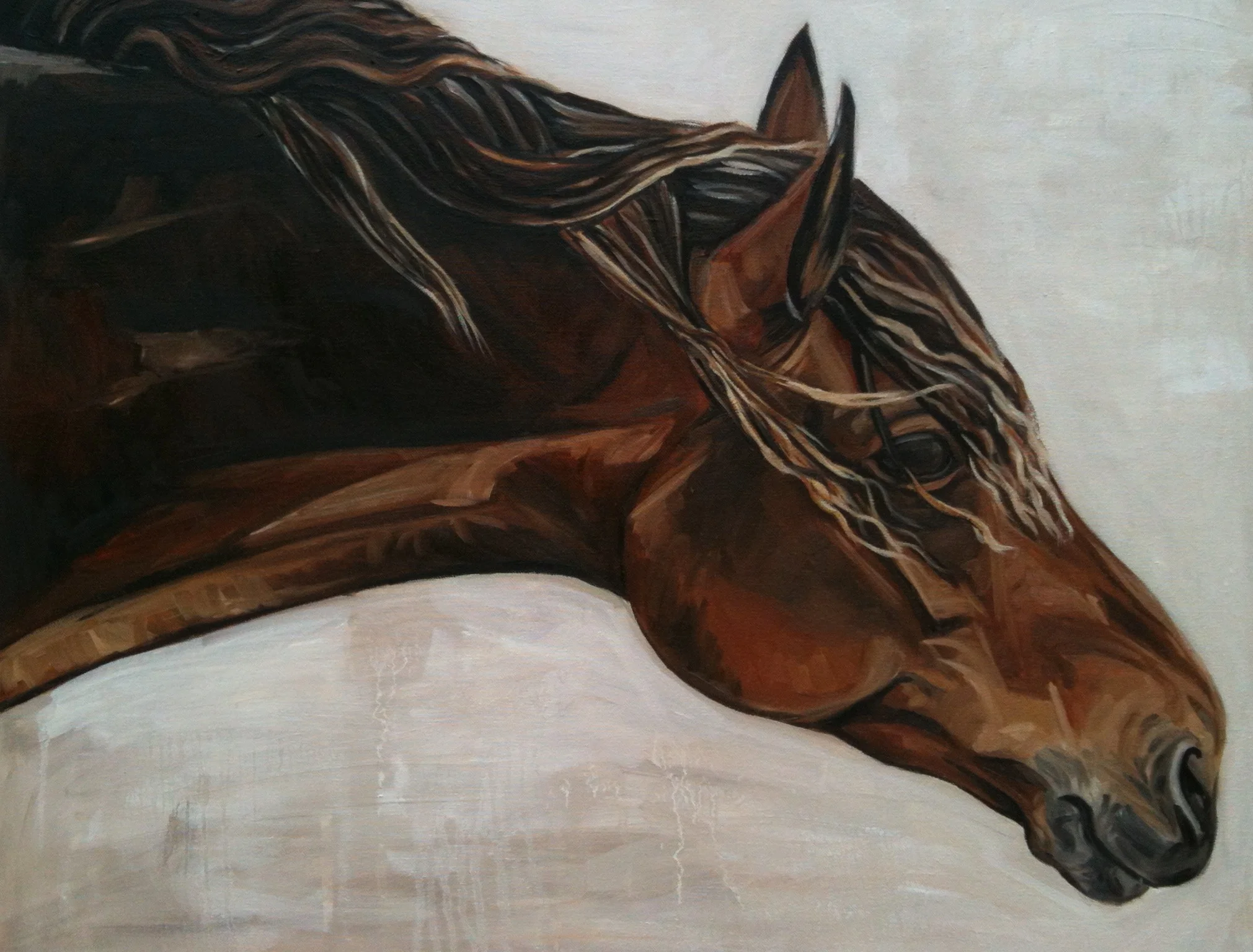 Irish Mare