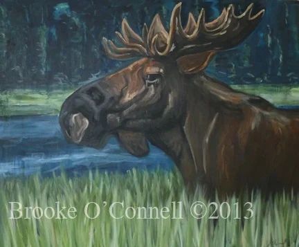 Moose
