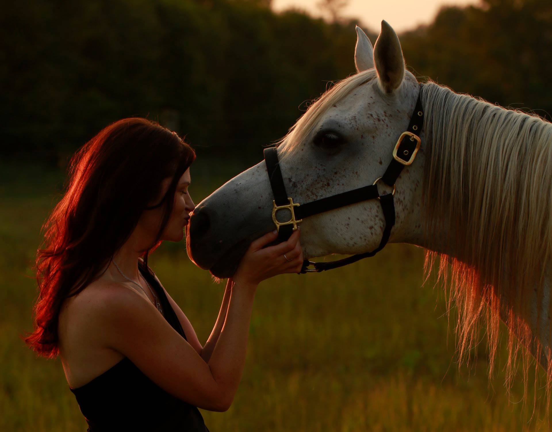Christine-Horse2.jpg