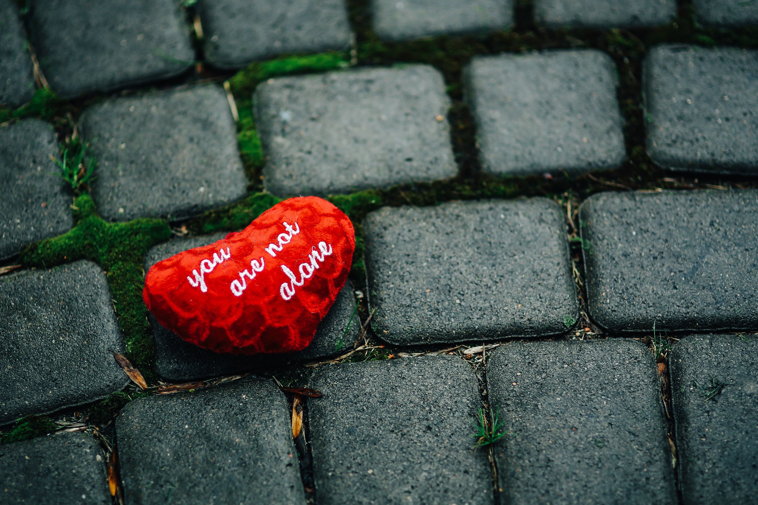 kaboompics_Small red heart on a cobblestone path.jpg