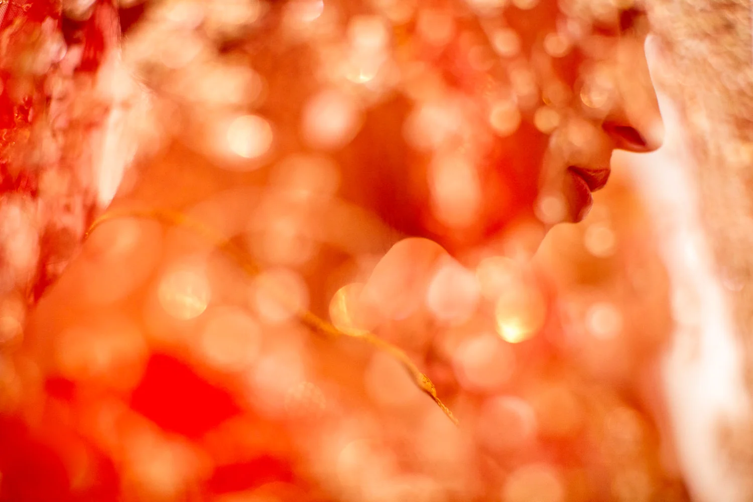homepage-105.jpg