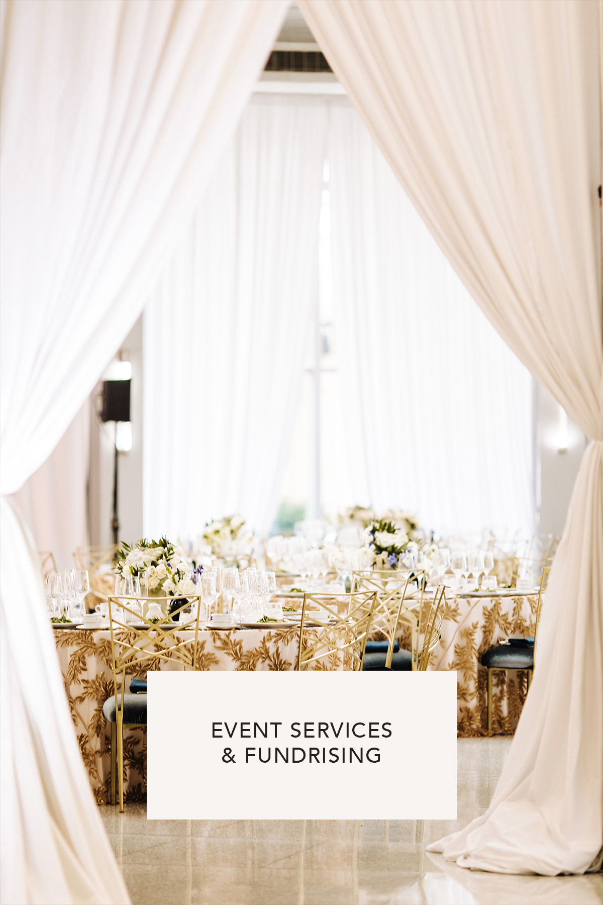 [AnthonY-&-STORK]-FUNDRAISING-EVENT-PLANNER-Twin-Cities.png