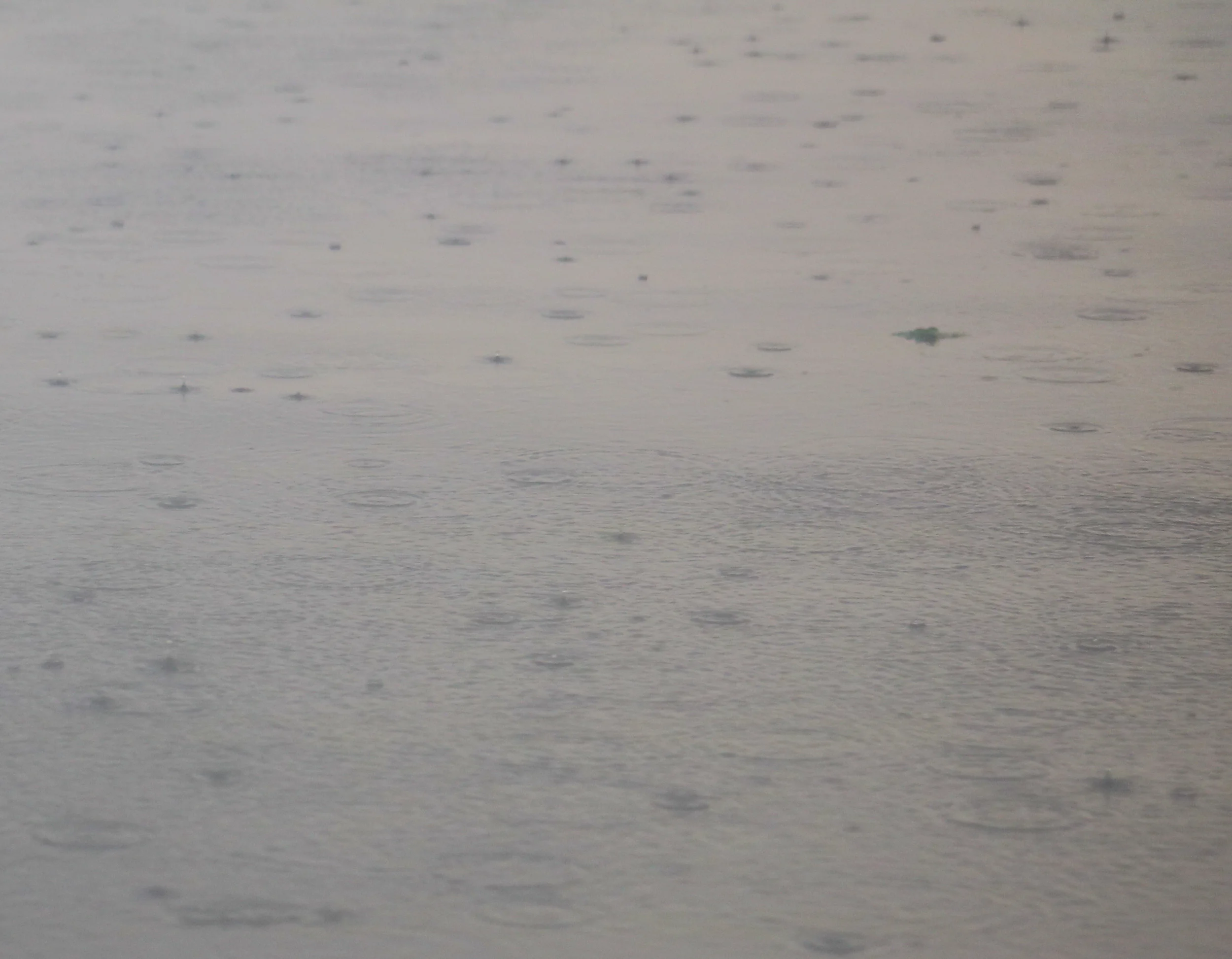 On What Sense I Live in