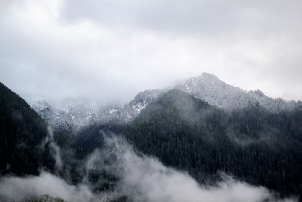 Screen Shot 2015-09-04 at 3.43.55 PM.png